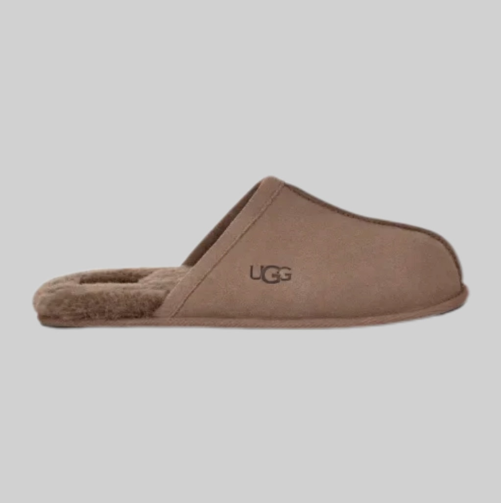 Ugg slippers, men, frontside, brown