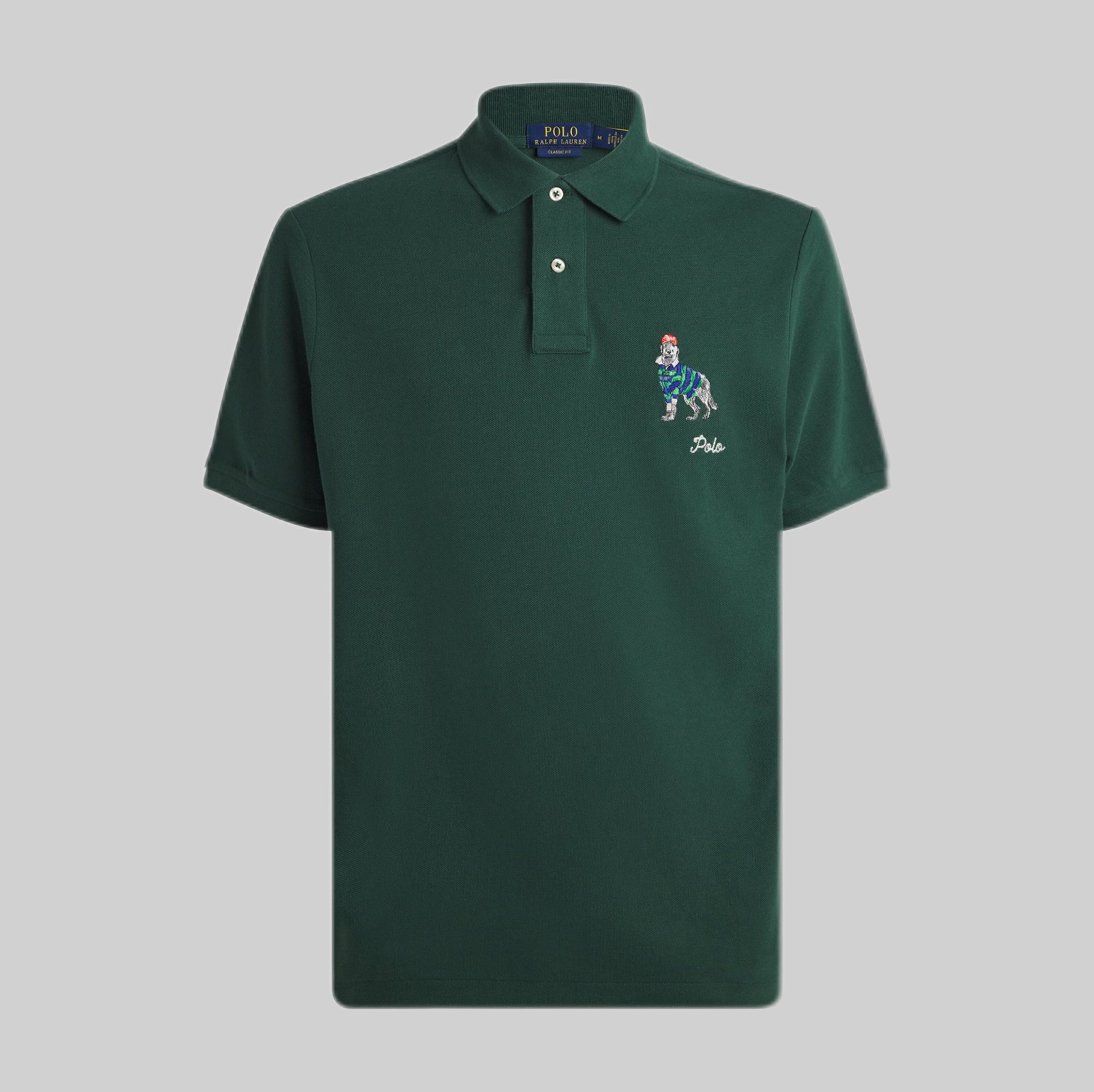 POLO RALPH LAUREN polo shirt, men, frontside, green