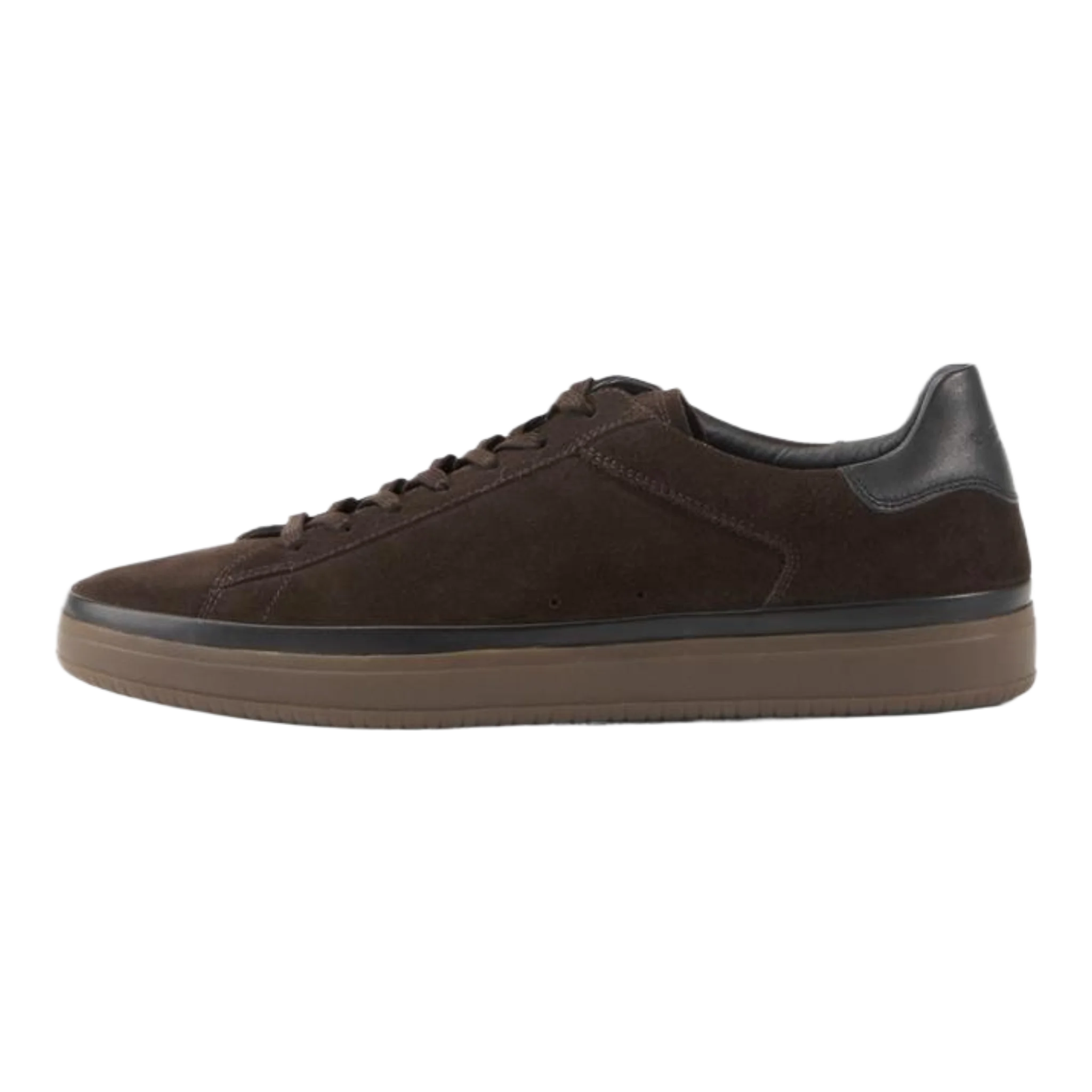 Leo Sneakers Brown