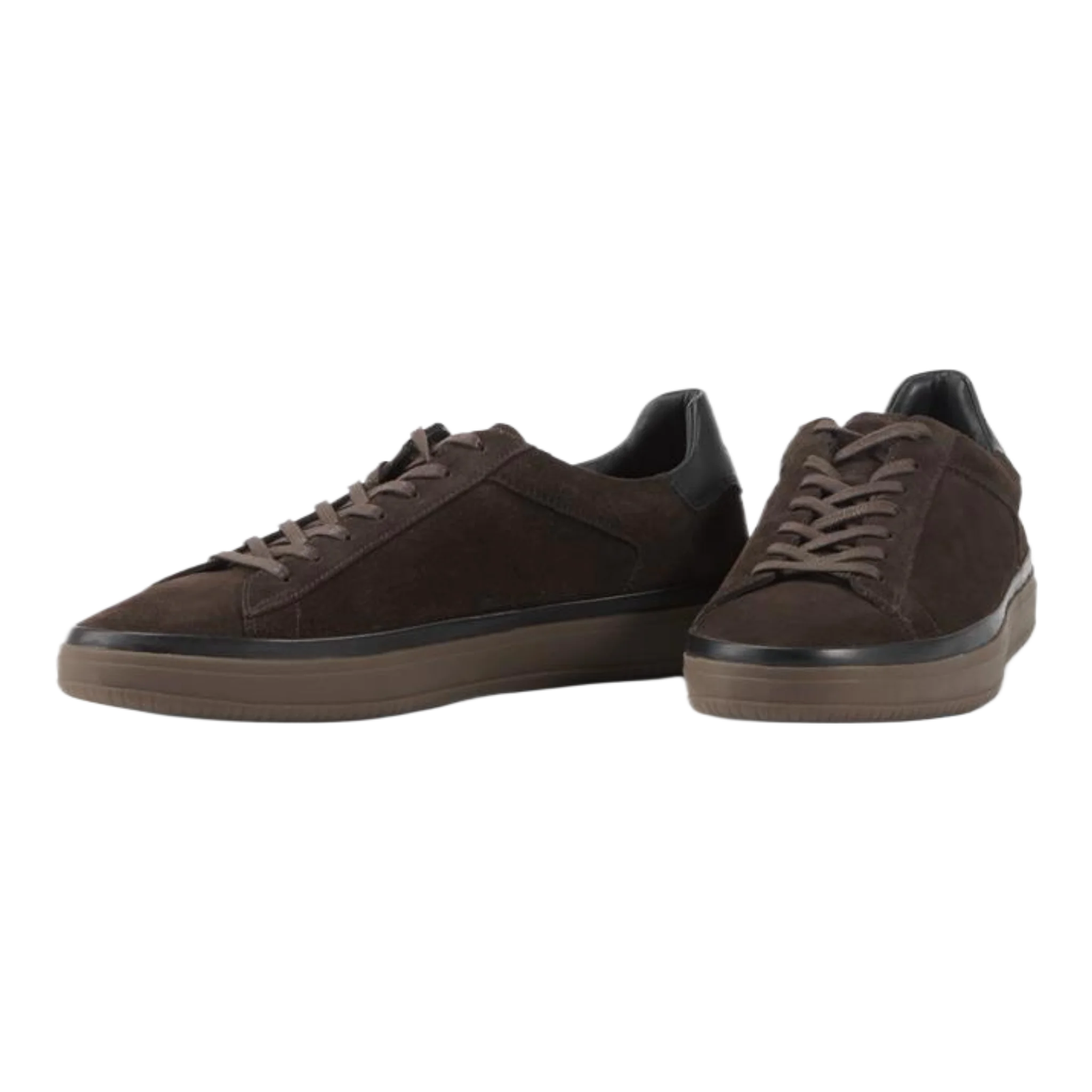 Leo Sneakers Brown