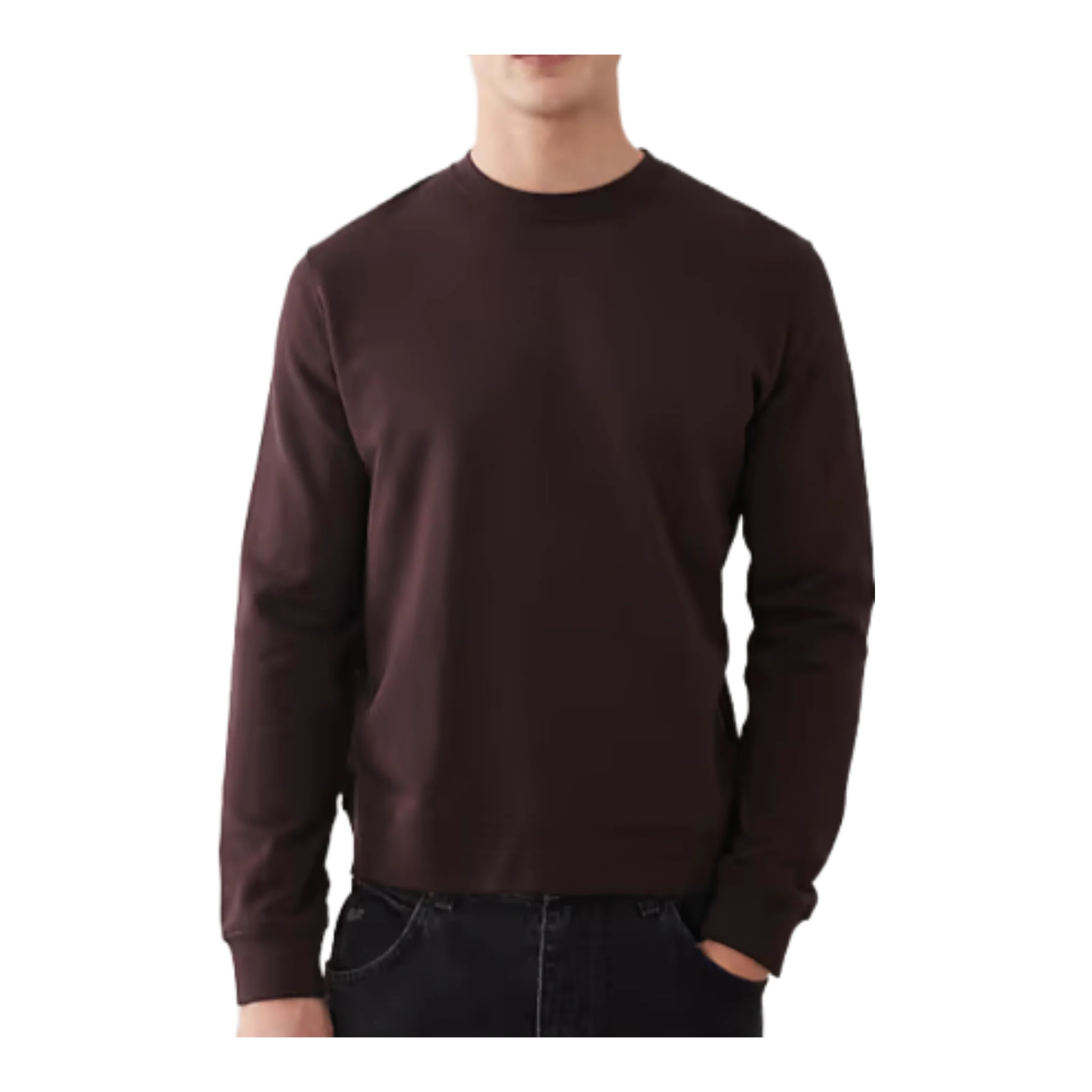 Brown Minimalist Crew Neck Jersey Sweatshirt