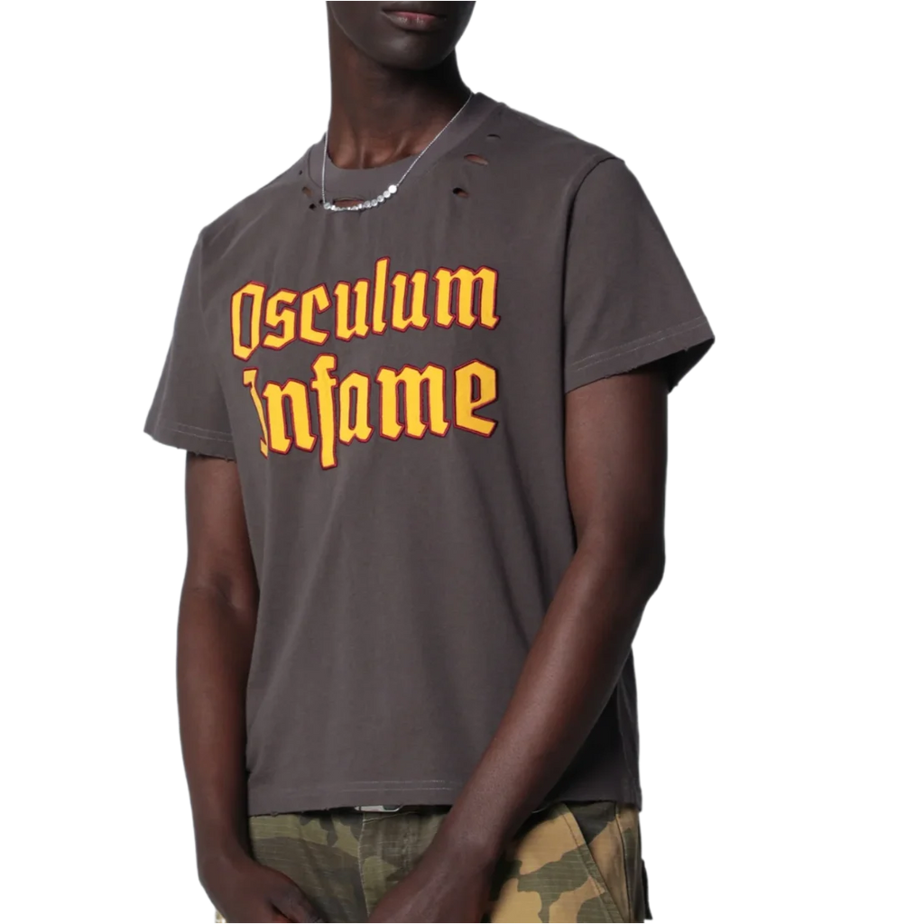 Washed Gray T-shirt with Rips
