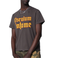 Washed Gray T-shirt with Rips