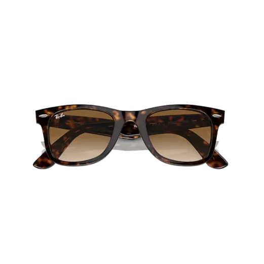 Original Wayfarer Classic
