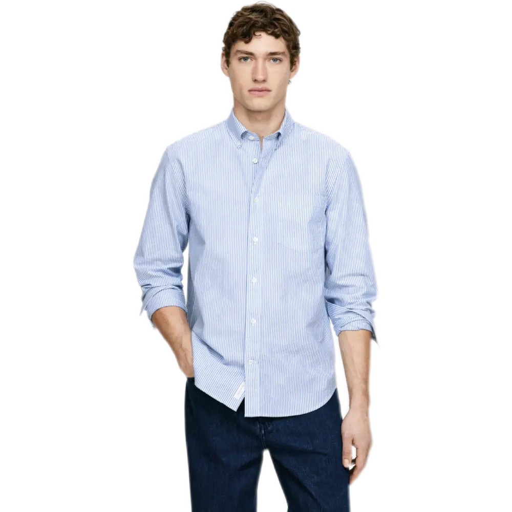 v65.webp